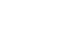 Hnutie Republika